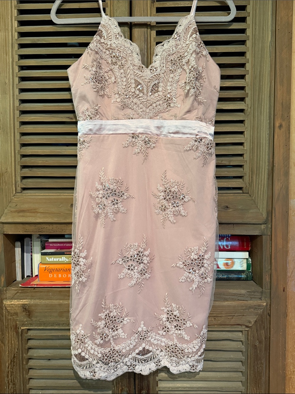 VENUS Blush Lace Embroidered Slip Dress